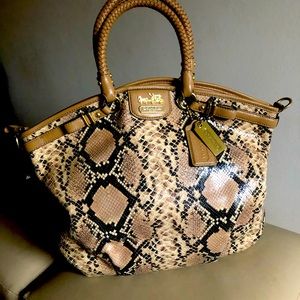 Coach Madison Lindsey LTD ED Python Embossed Leather Satchel Shoulder Bag  NWOT